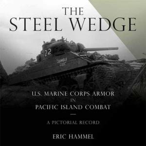 Cover of the book The Steel Wedge by Lewis Perdue