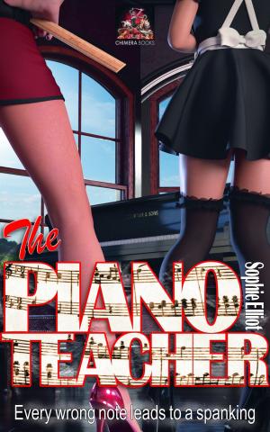 Cover of the book The Piano Teacher by B. A. Bradbury
