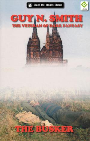 Cover of the book The Busker by Quentin Ravensbane