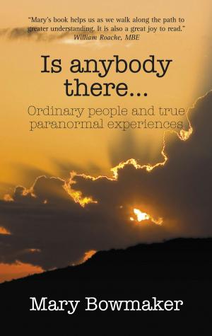 Cover of the book Is Anybody There…Ordinary People and True Paranormal Experiences by Gill Pharaoh