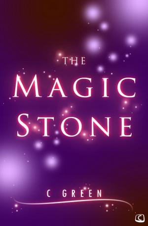 Cover of the book The Magic Stone by Giles Dee-Shapland & Steve Campen