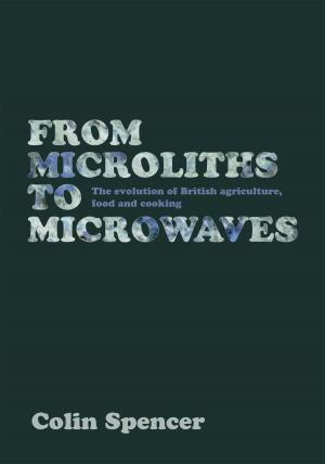 Cover of the book From Microliths to Microwaves by Antoinette Savill