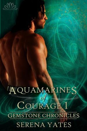 Book cover of Aquamarines of Courage 1