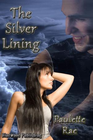 Cover of the book The Silver Lining by Bridy McAvoy