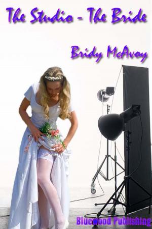 Cover of the book The Studio 5: The Bride by E.R. Haze