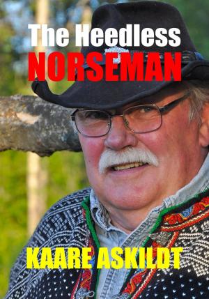 Book cover of The Heedless Norseman