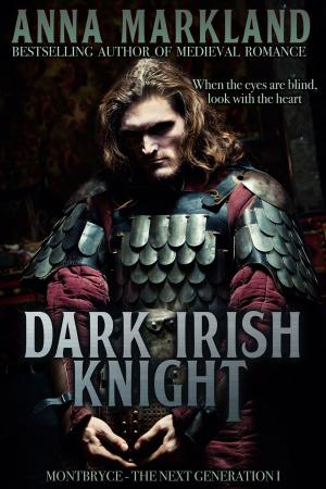 Book cover of Dark Irish Knight