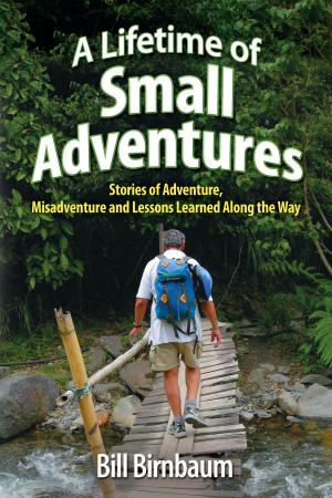 Book cover of A Lifetime of Small Adventures