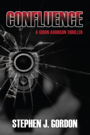 Cover of the book Confluence by Shaun Jeffrey