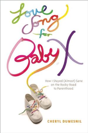 Cover of the book Love Song For Baby X by Steve Himmer