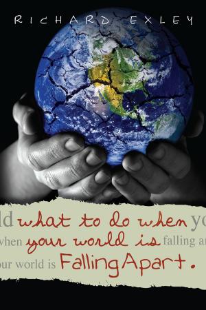 Book cover of What to Do When Your World is Falling Apart
