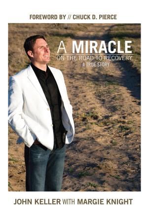 Cover of the book A Miracle on the Road to Recovery by David Ingerson