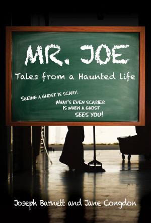 Cover of the book Mr. Joe: Tales from a Haunted Life by Toyi Mthembu