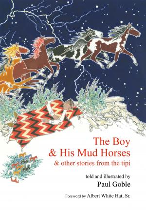 Book cover of The Boy & His Mud Horses