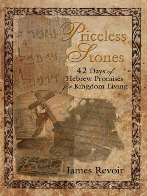 Cover of the book Priceless Stones by Thomas Nye