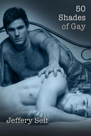 Cover of the book 50 Shades of Gay by Allison Martin