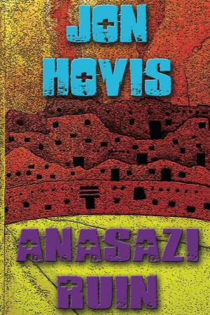 Cover of the book Anasazi Ruin by D. Allen Jenkins