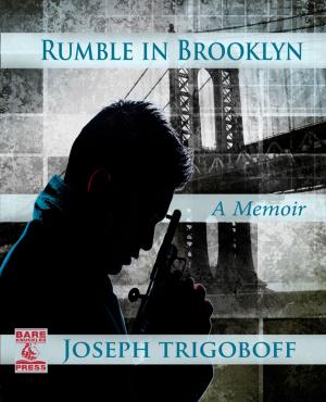 Cover of the book Rumble in Brooklyn by Pamela Sherwood