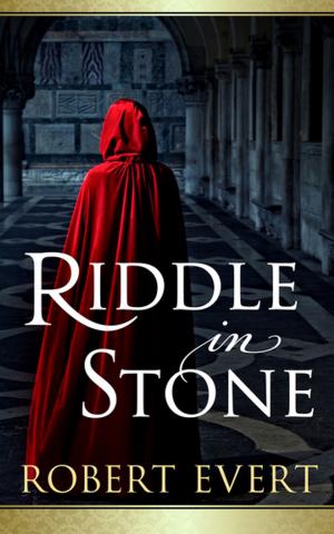 Cover of the book Riddle in Stone by J Wolf Scott