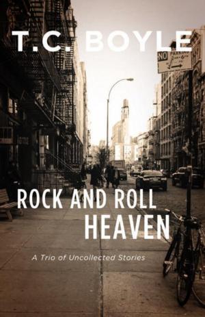 Cover of the book Rock and Rol Heaven by David Jauss