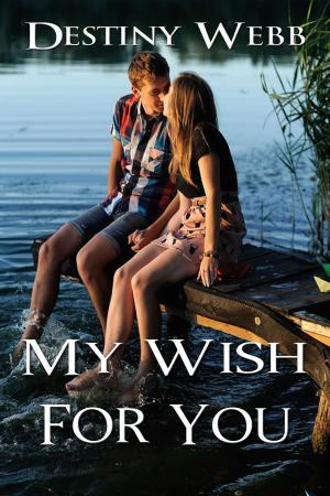 Cover of the book My Wish for You by Kathi S. Barton