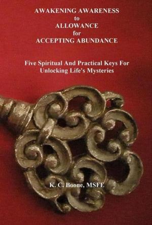 Book cover of Awakening Awareness to Allowance for Accepting Abundance