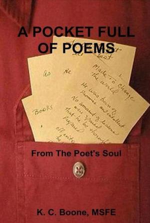 Book cover of A Pocket Full Of Poems