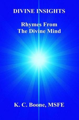 Book cover of Divine Insights