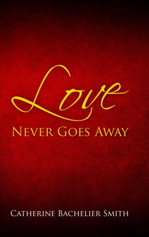 Book cover of Love Never Goes Away