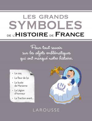 Cover of the book Les grands symboles de l'Histoire de France by Martina Krcmar