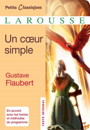 Cover of the book Un coeur simple by Jean-Paul Guedj