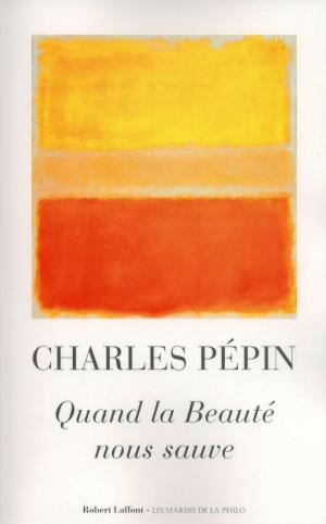 Cover of the book Quand la Beauté nous sauve by Michel PEYRAMAURE