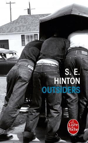 Cover of the book Outsiders by Randy Susan Meyers