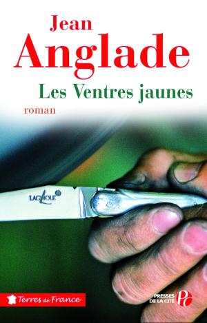 Cover of the book Les ventres jaunes by Aurélie BLOT
