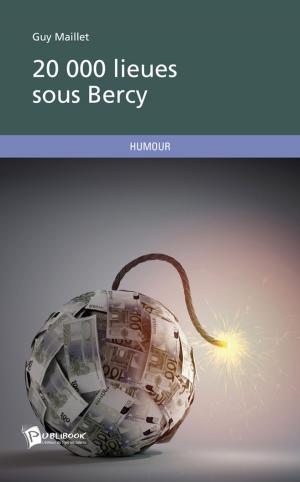 Cover of the book 20 000 lieues sous Bercy by Marc Spitz