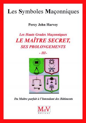 Cover of N.55 Le maître secret T3