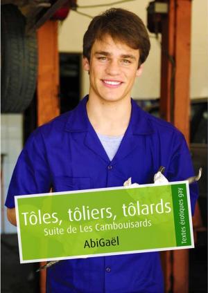 Cover of the book Tôles, tôliers, tôlards (pulp gay) by Alec Nortan