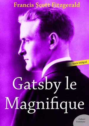 Cover of Gatsby le Magnifique