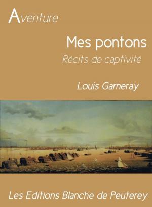Cover of the book Mes pontons by Eric le Meur