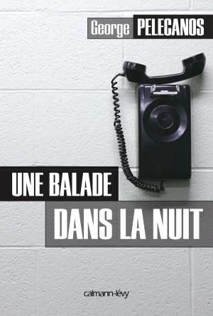 Cover of the book Une balade dans la nuit by Collectif, François Bégaudeau, Xavier de La Porte