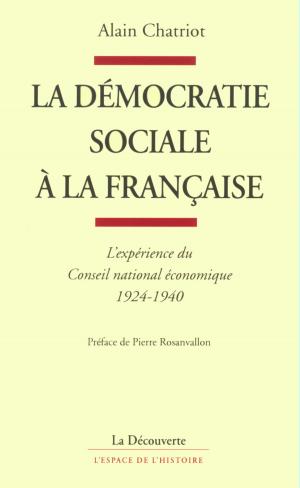 Book cover of La démocratie sociale à la française