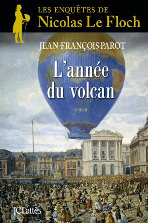 Cover of the book L'année du volcan : N°11 by Grégoire Delacourt