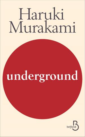 Cover of the book Underground by Pierre ASSOULINE