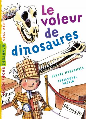 Cover of the book Le voleur de dinosaures by Nathalie Zimmermann