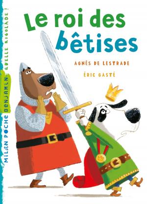 Cover of the book Le roi des bêtises by Michel Piquemal