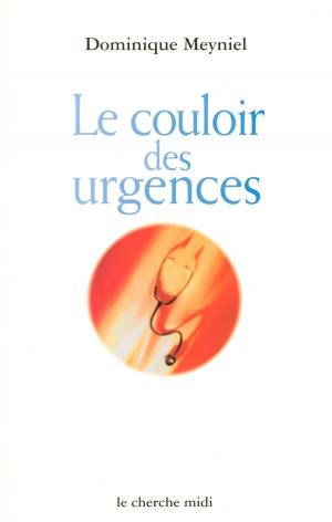 Cover of the book Le couloir des urgences by Laurent RUQUIER