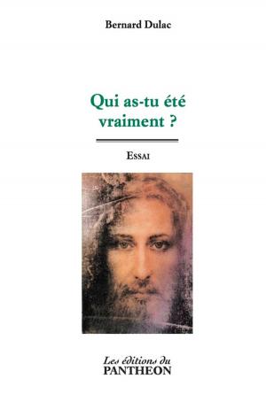 Cover of the book Qui as-tu été vraiment ? by Pierre Aly Soumarey