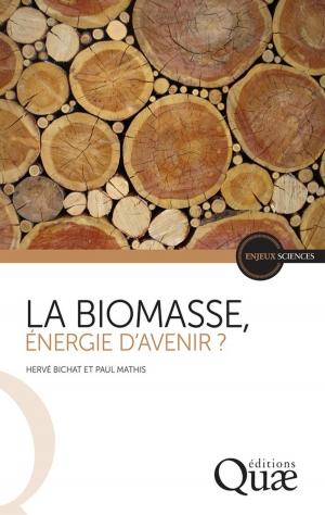 Cover of the book La biomasse, énergie d'avenir ? by Bouamrane Meriem, Antona Martine, Robert Barbault, Cormier-Salem Marie-Christine