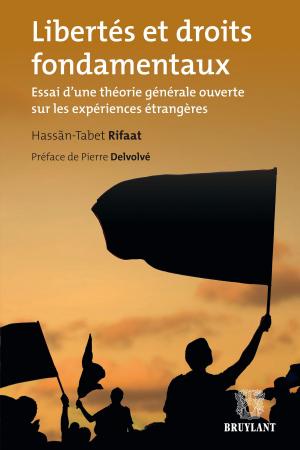 Cover of the book Libertés et droits fondamentaux by Jean-François Bellis