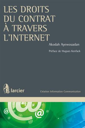 Book cover of Les droits du contrat à travers l'internet